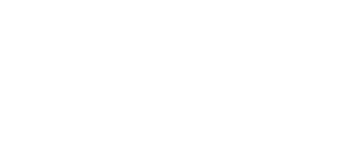 type2.png